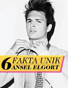 6 Fakta Unik Ansel Elgort