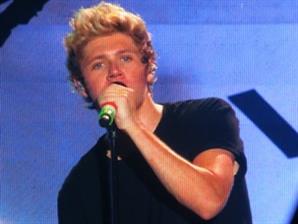 1D Senang Konser di Jakarta