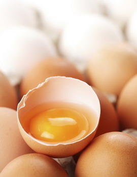 Khasiat Telur untuk Kecantikan